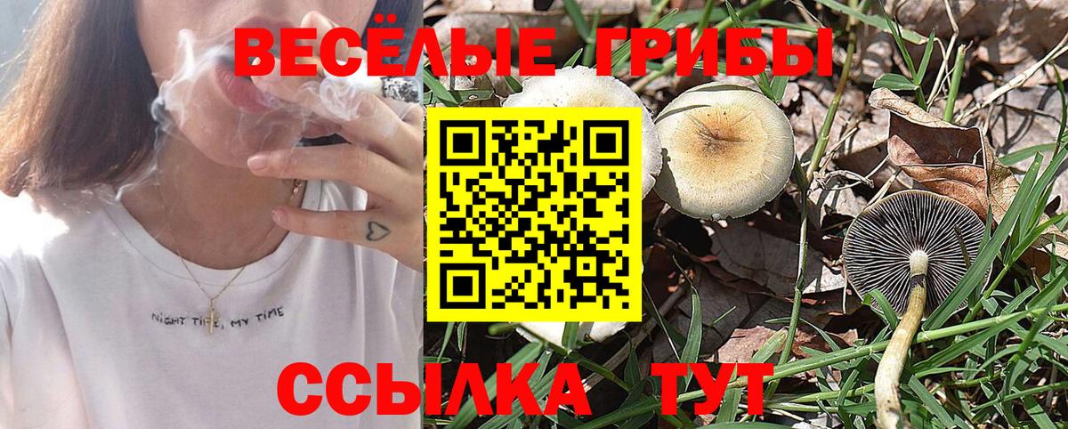 Псилоцибиновые грибы ЛСД  Вход с VPN  Сургут 