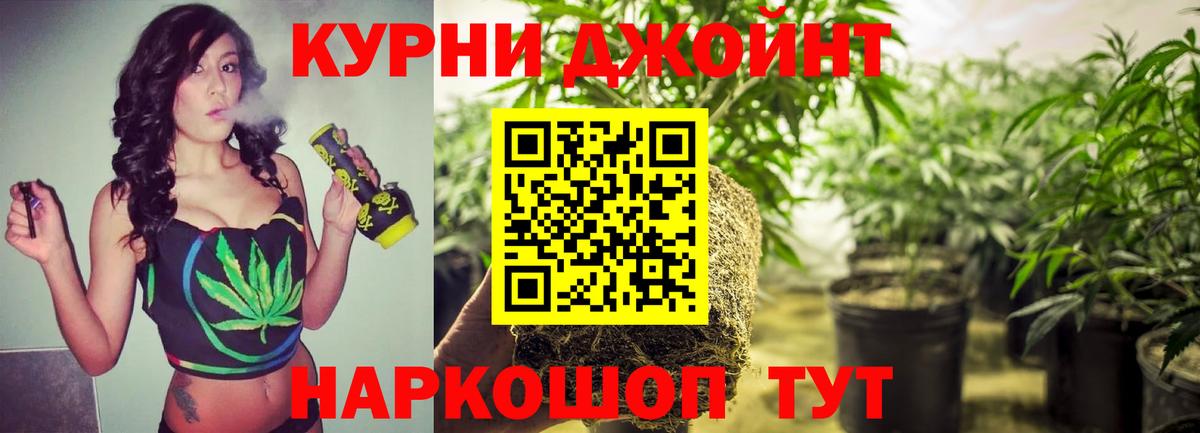 Канабис планчик Сургут